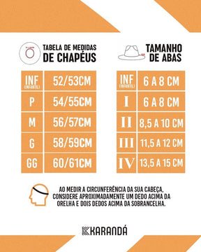 CHAPÉU T CORES AMERICANO LP AN R ABA G